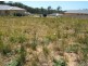 Lot 2/11 Wren Close, Laurieton NSW 2443