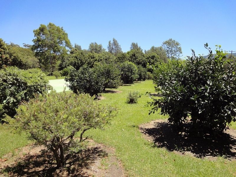 221 Wharf Road, Stewarts River NSW 2443