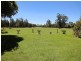 221 Wharf Road, Stewarts River NSW 2443