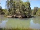 221 Wharf Road, Stewarts River NSW 2443