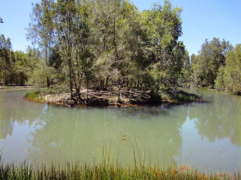 221 Wharf Road, Stewarts River NSW 2443