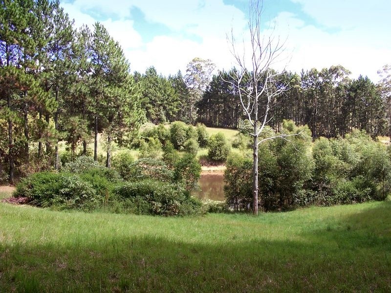 540 Stewarts River Road, Lorne NSW 2439