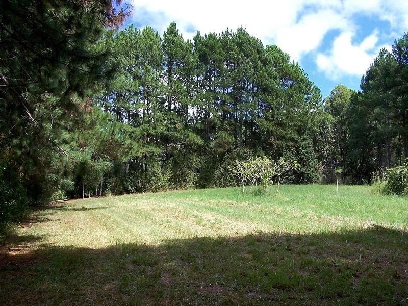 540 Stewarts River Road, Lorne NSW 2439