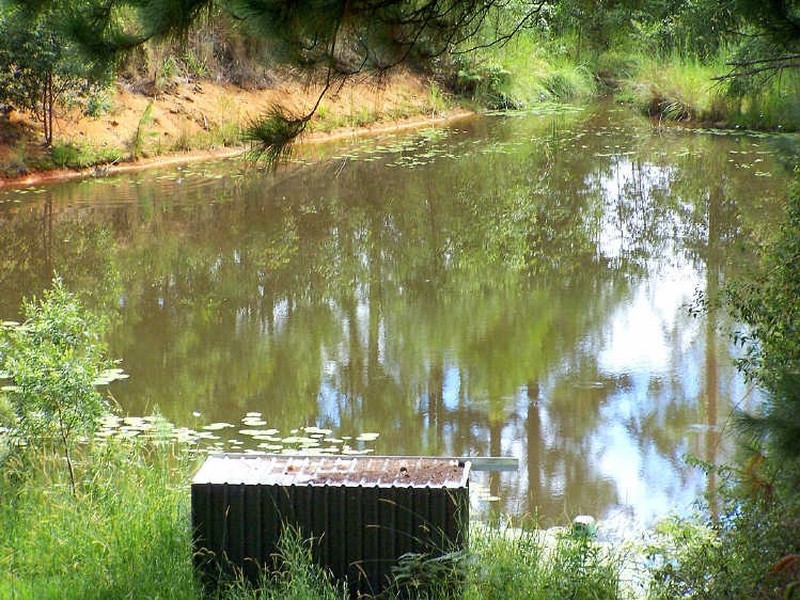 540 Stewarts River Road, Lorne NSW 2439