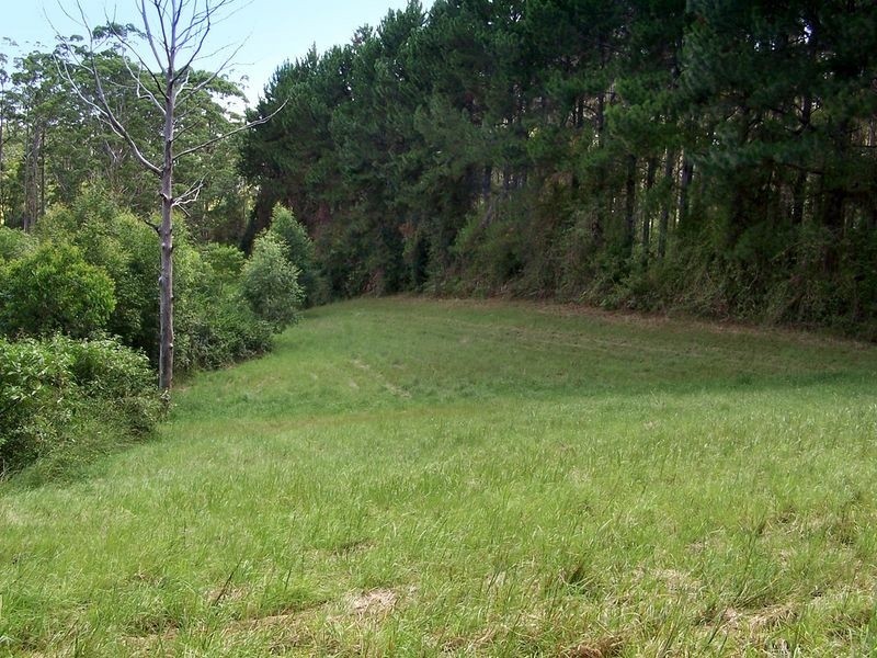 540 Stewarts River Road, Lorne NSW 2439