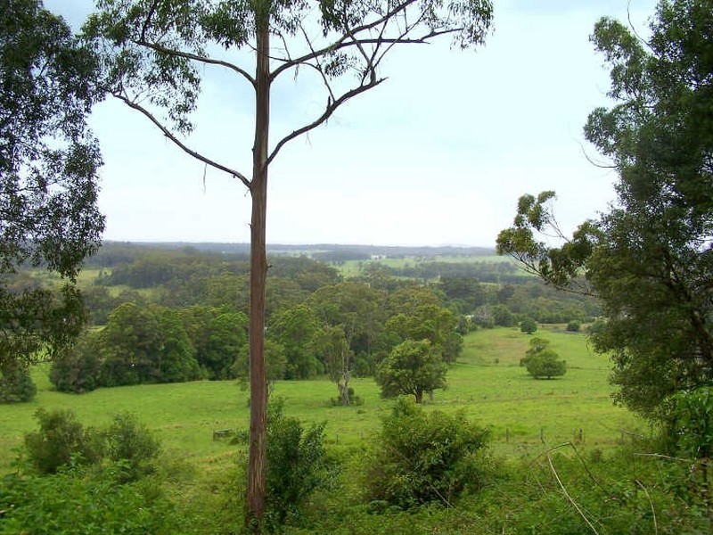 Johns River NSW 2443