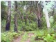 Johns River NSW 2443