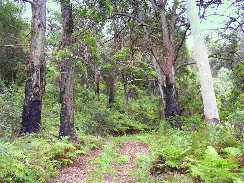 Johns River NSW 2443