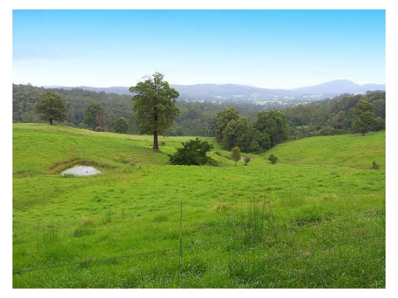 Lot 2 181 Hannam Vale Road, Lorne NSW 2439