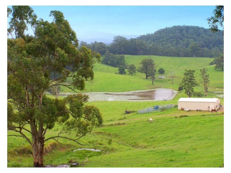 Lot 2 181 Hannam Vale Road, Lorne NSW 2439
