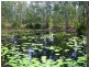 60 Longworth Road, Dunbogan NSW 2443