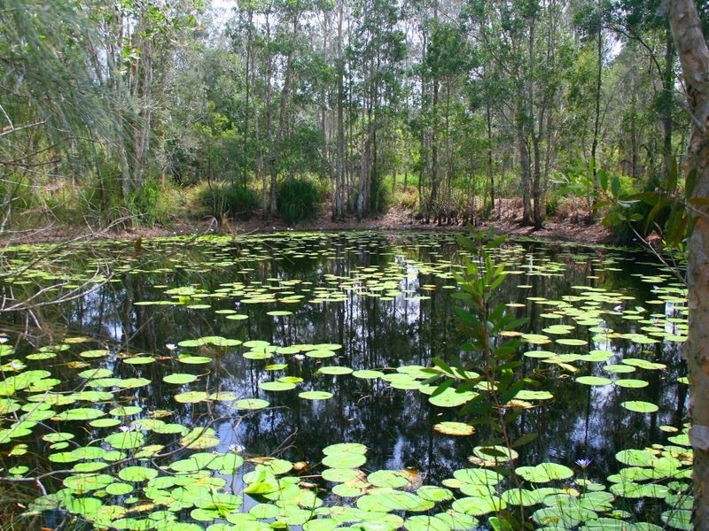 60 Longworth Road, Dunbogan NSW 2443