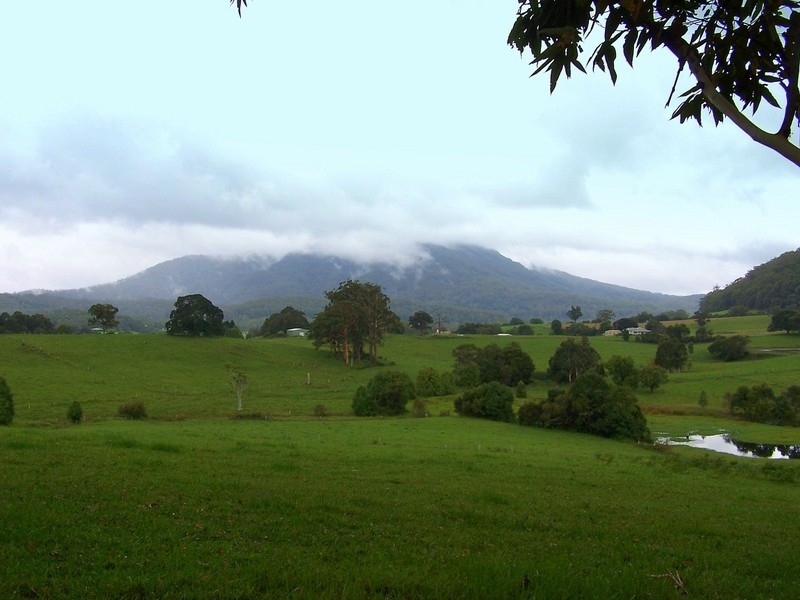 Moorland NSW 2443
