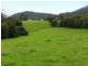 Moorland NSW 2443