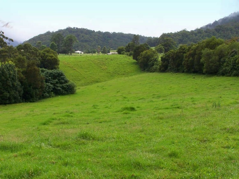 Moorland NSW 2443