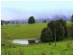 Moorland NSW 2443