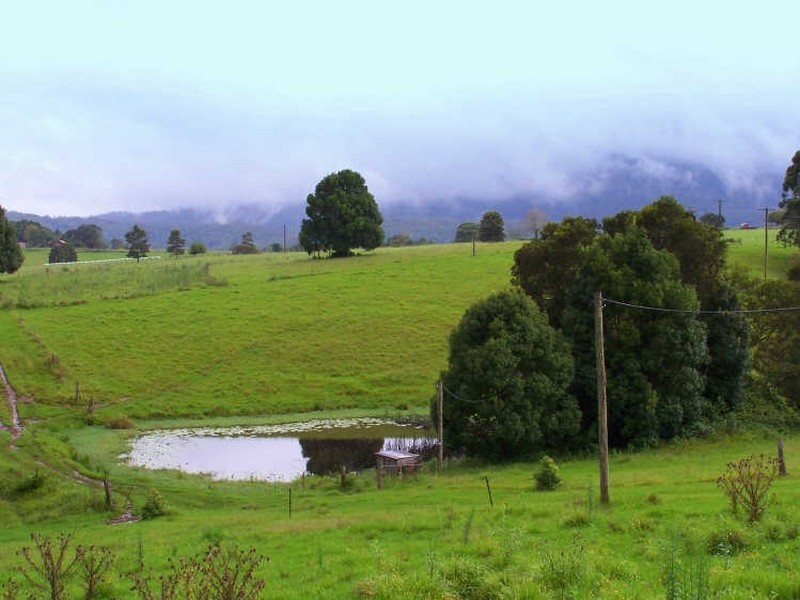 Moorland NSW 2443
