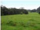 Moorland NSW 2443