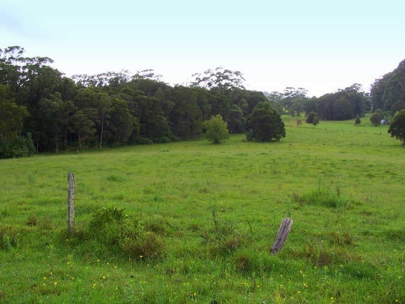 Moorland NSW 2443