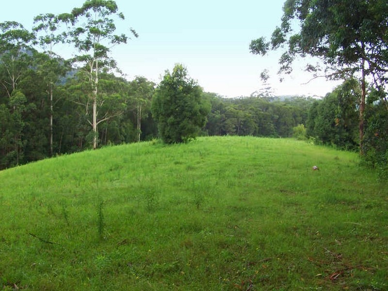 Moorland NSW 2443