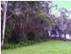 Moorland NSW 2443
