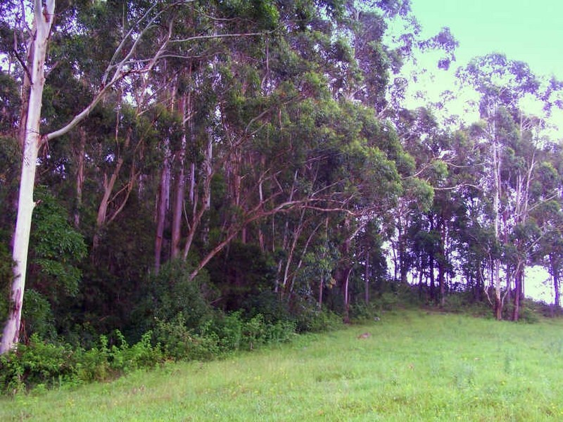 Moorland NSW 2443