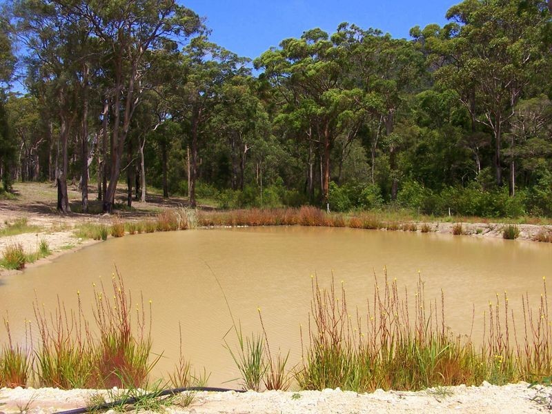 29 Stewarts River Road, Johns River NSW 2443