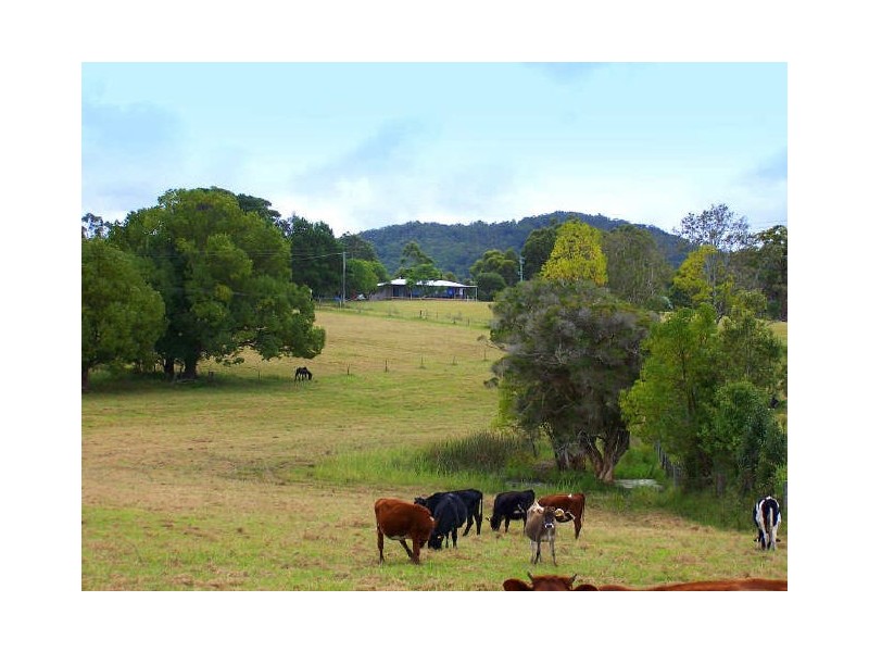 Moorland NSW 2443