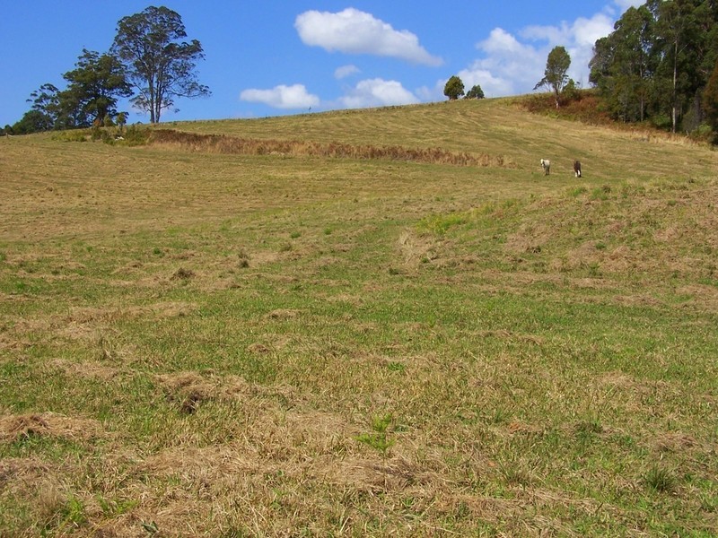 157/ Stewarts River Road, Lorne NSW 2439