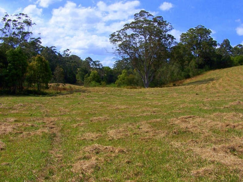 157/ Stewarts River Road, Lorne NSW 2439