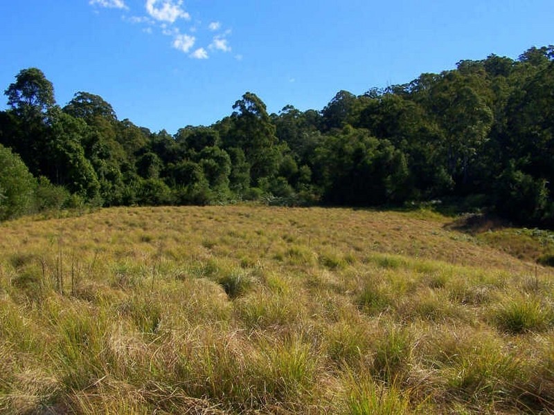 157/ Stewarts River Road, Lorne NSW 2439