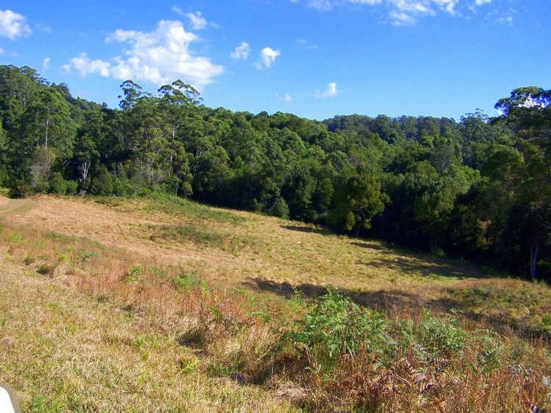 157/ Stewarts River Road, Lorne NSW 2439