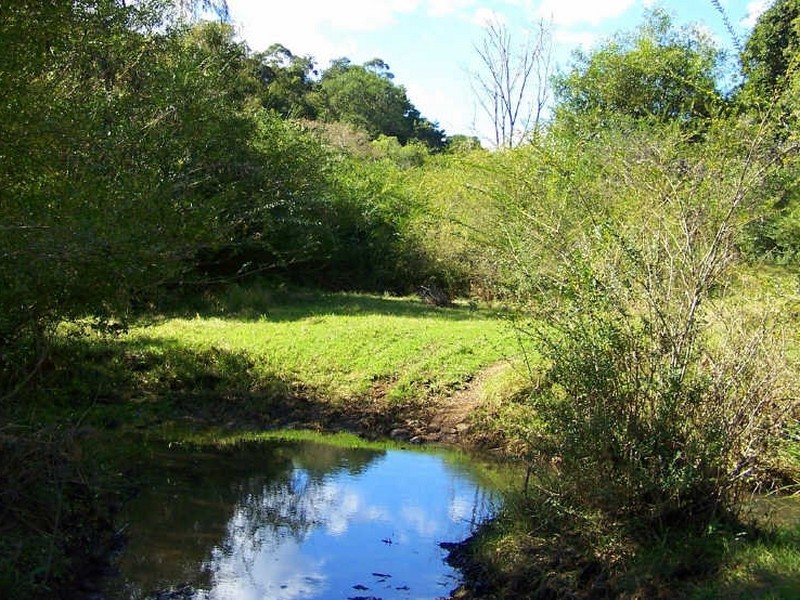 157/ Stewarts River Road, Lorne NSW 2439