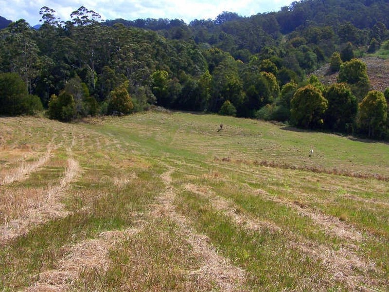 157/ Stewarts River Road, Lorne NSW 2439
