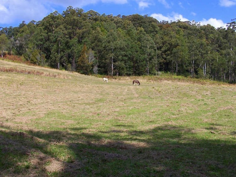157/ Stewarts River Road, Lorne NSW 2439