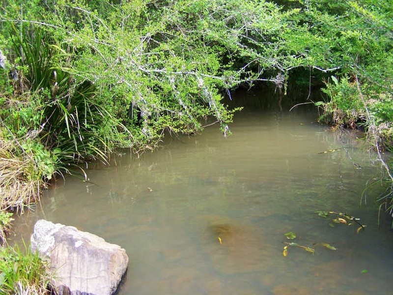 157/ Stewarts River Road, Lorne NSW 2439