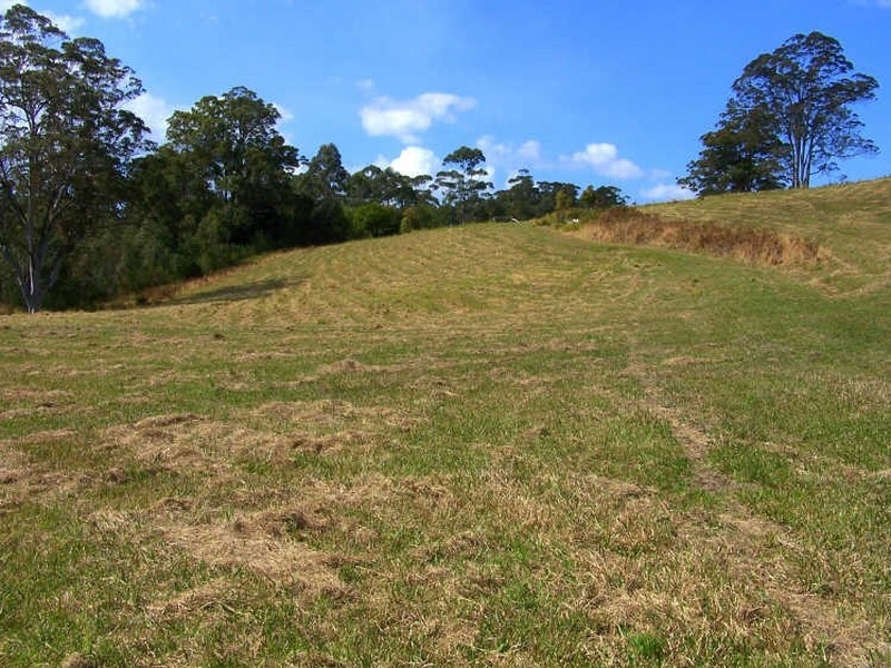 157/ Stewarts River Road, Lorne NSW 2439