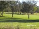 159 Nancy Bird Walton Drive, Kew NSW 2439