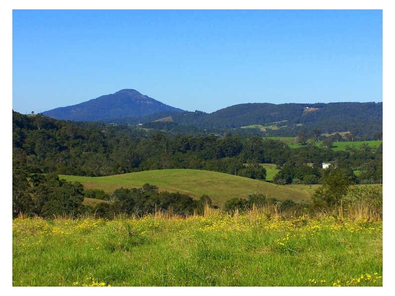 21 Cherry Tree Lane, Hannam Vale NSW 2443