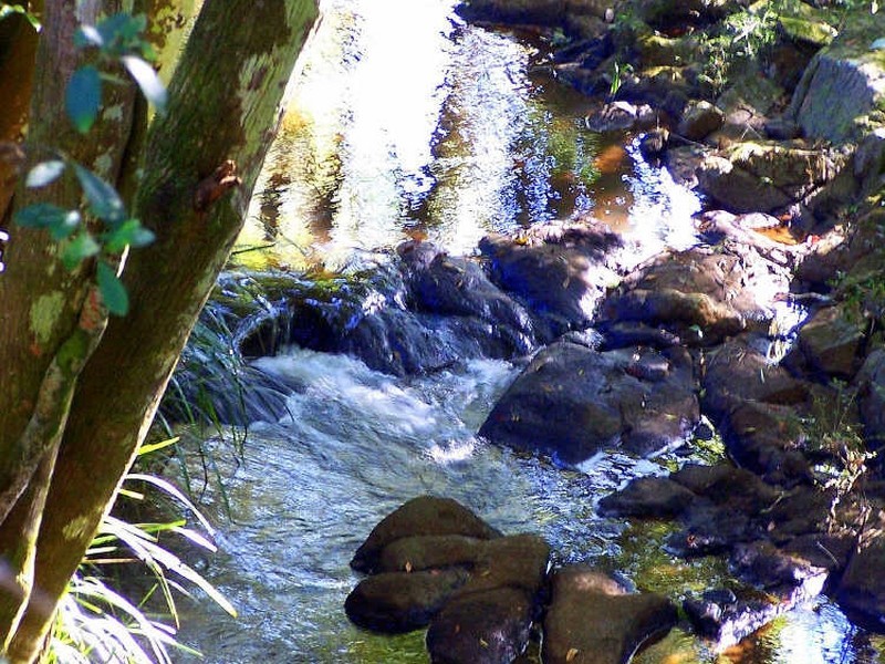 21 Cherry Tree Lane, Hannam Vale NSW 2443