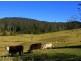 Hannam Vale NSW 2443