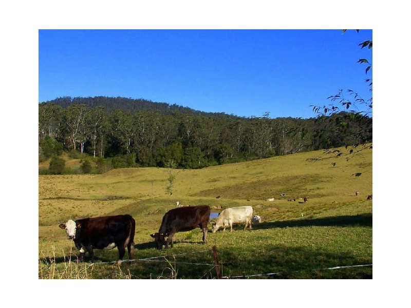 Hannam Vale NSW 2443