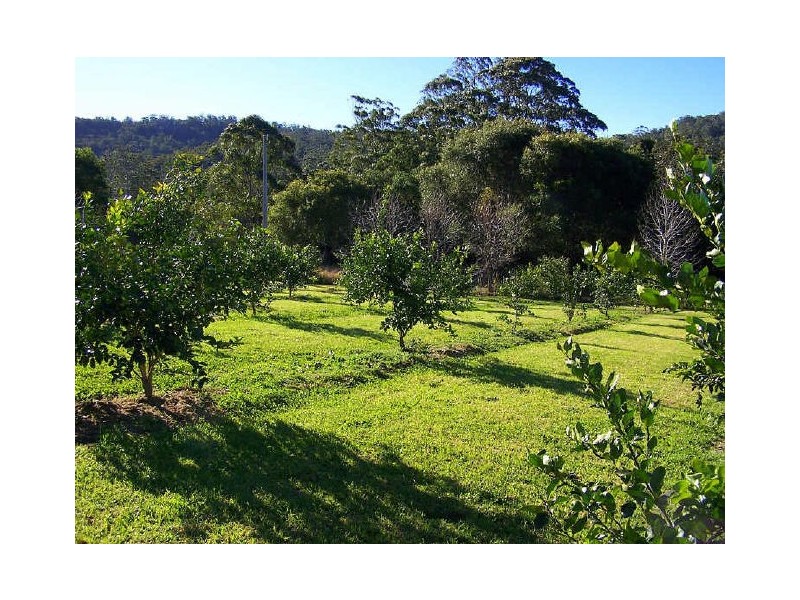 Hannam Vale NSW 2443