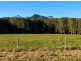 Moorland NSW 2443