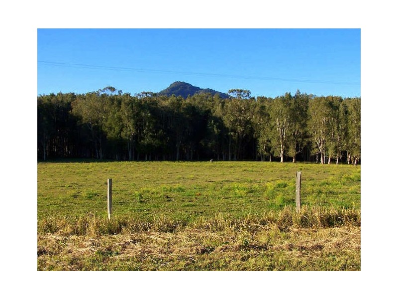 Moorland NSW 2443