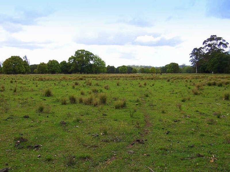 61 River Oaks Drive, Kendall NSW 2439