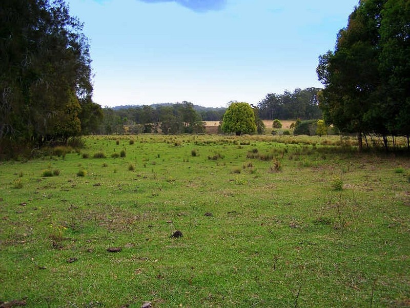 61 River Oaks Drive, Kendall NSW 2439