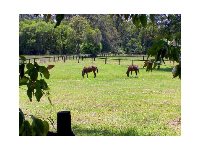 Herons Creek NSW 2443