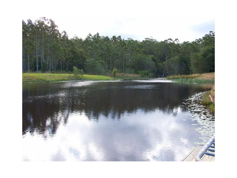 Lorne NSW 2439