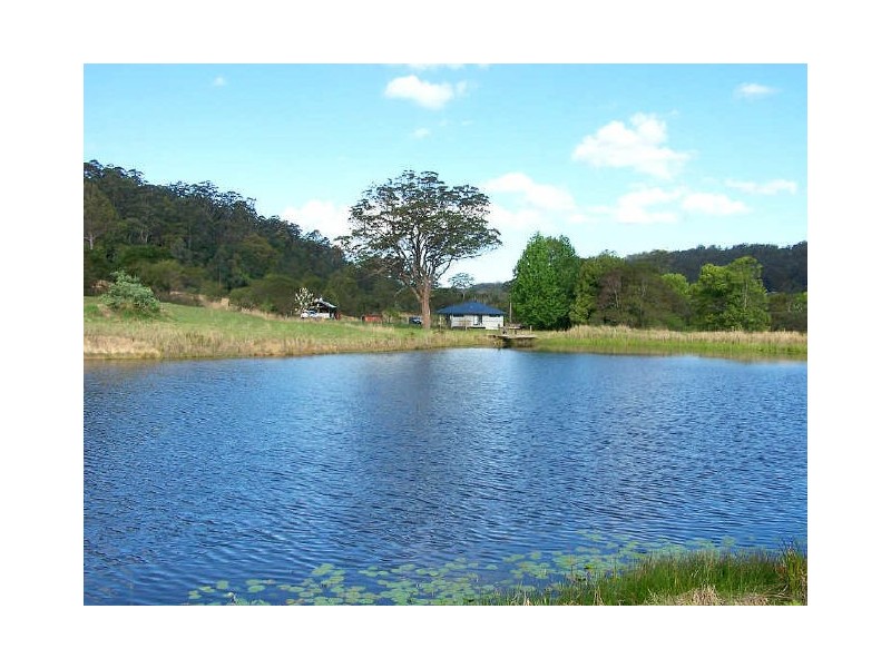 Lorne NSW 2439